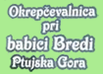 Okrepčevalnica pri babici Bredi